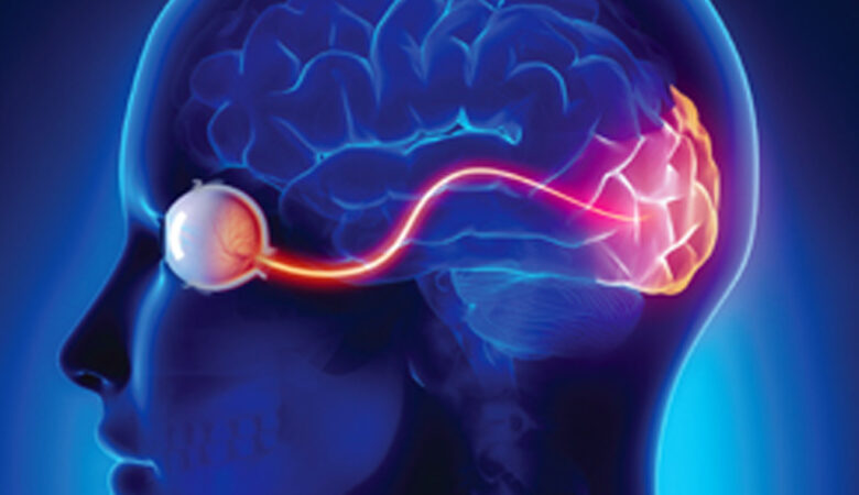 Understanding Neuromyelitis Optica Spectrum Disorders: Clinical Features, Diagnosis, Management, and Emerging Therapies